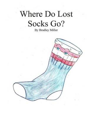 Book cover for Where Do Lost Socks Go