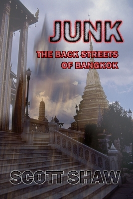 Book cover for Junk