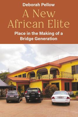 Book cover for A New African Elite