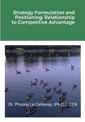 Cover of Strategy Formulation and Positioning