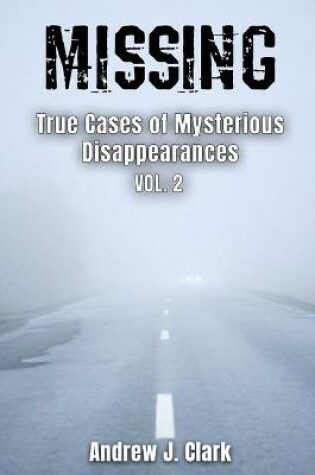 Cover of Missing True Cases of Mysterious Disappearances 2