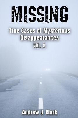 Cover of Missing True Cases of Mysterious Disappearances 2