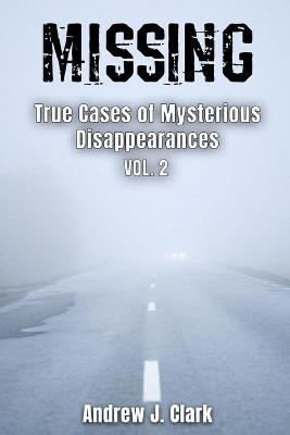 Book cover for Missing True Cases of Mysterious Disappearances 2