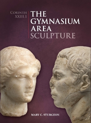 Book cover for The Gymnasium Area