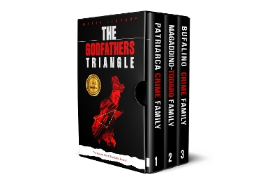 Book cover for The The Godfathers Triangle