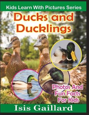 Cover of Ducks and Ducklings