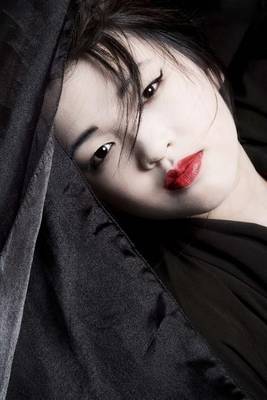 Book cover for A Geisha Dressed All in Black