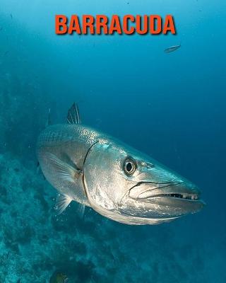 Book cover for Barracuda