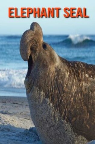 Cover of Elephant Seal