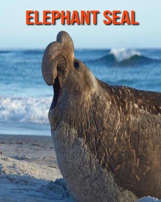 Book cover for Elephant Seal