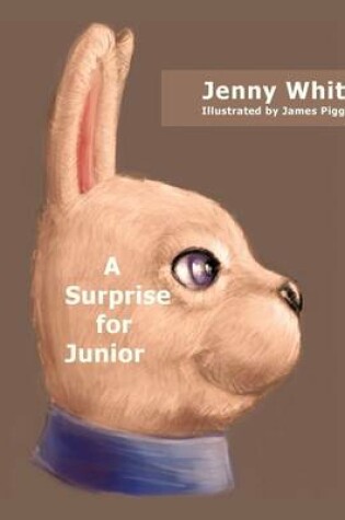Cover of A Surprise for Junior