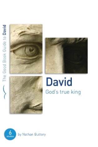Cover of David: God's True King