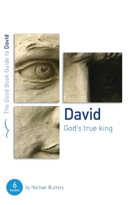 Book cover for David: God's True King