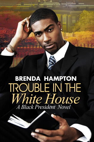 Cover of Trouble in the White House