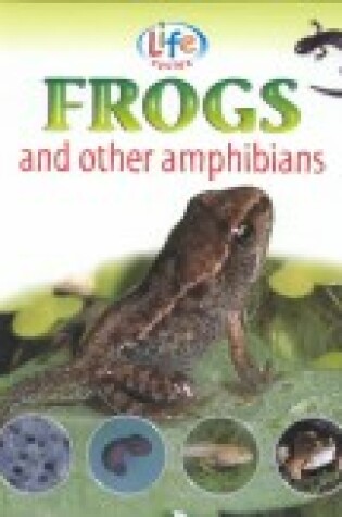 Cover of Frogs and Other Amphibians
