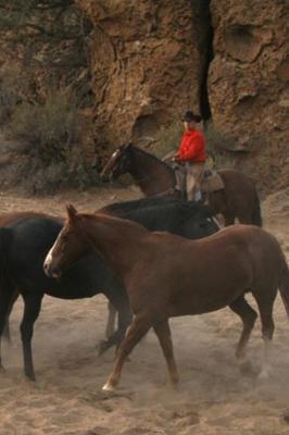 Book cover for 2020 Daily Planner Horse Photo Equine Cowboy Herding Horses 388 Pages