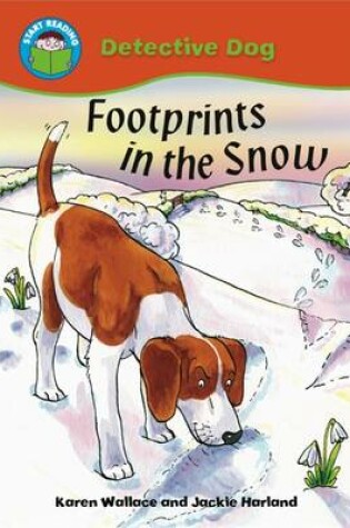 Cover of Footprints in the Snow