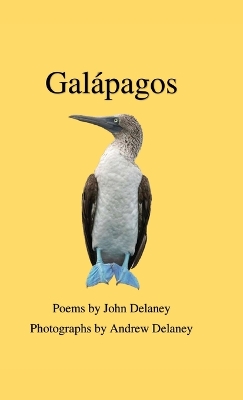 Book cover for Galápagos