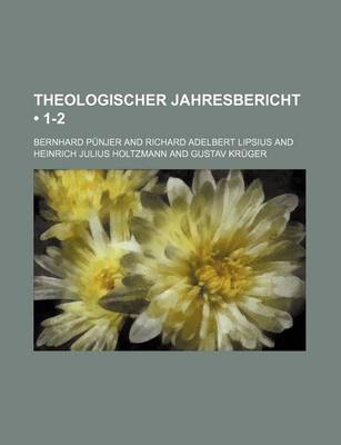 Book cover for Theologischer Jahresbericht (1-2)