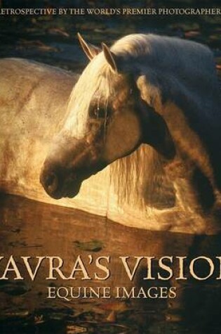 Cover of Vavra's Visions