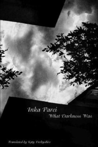 Cover of What Darkness Was