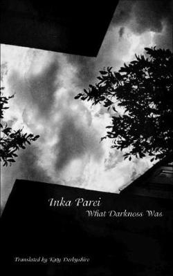 Book cover for What Darkness Was