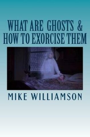 Cover of What are Ghosts