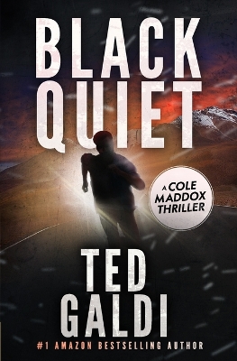 Book cover for Black Quiet