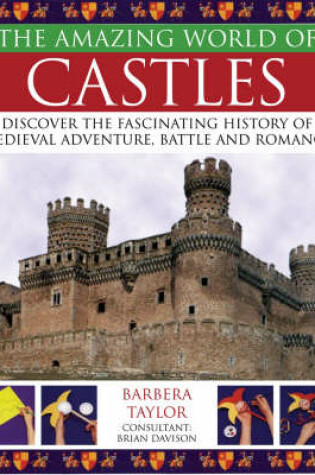 Cover of The Amazing World of Castles