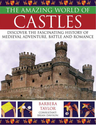 Book cover for The Amazing World of Castles