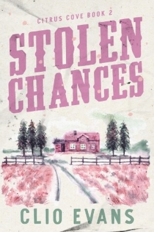 Cover of Stolen Chances