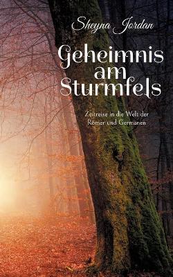 Book cover for Geheimnis am Sturmfels