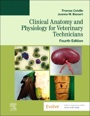 Book cover for Clinical Anatomy and Physiology for Veterinary Technicians - E-Book