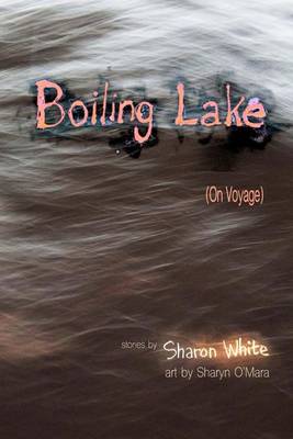 Book cover for Boiling Lake (On Voyage)