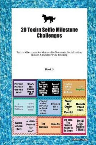 Cover of 20 Toxirn Selfie Milestone Challenges