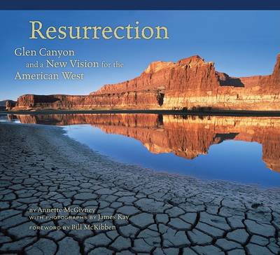 Book cover for Resurrection