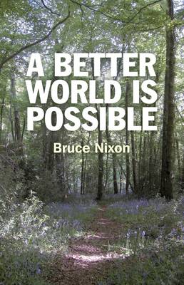 Book cover for Better World is Possible, A