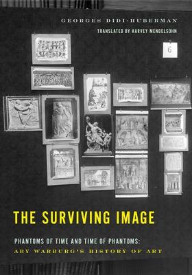 Book cover for The Surviving Image