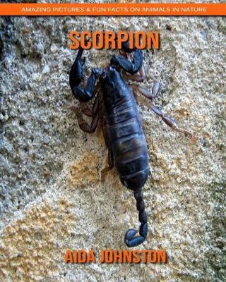 Book cover for Scorpion