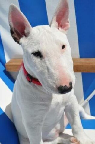 Cover of White Bull Terrier Sitting in a Beach Chair Journal