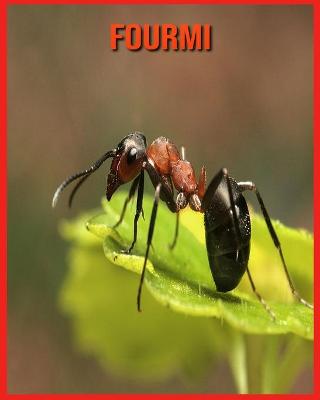 Book cover for Fourmi