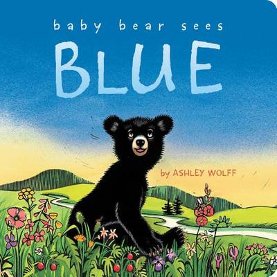 Book cover for Baby Bear Sees Blue