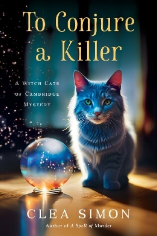 Cover of To Conjure a Killer
