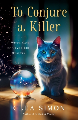 Cover of To Conjure a Killer