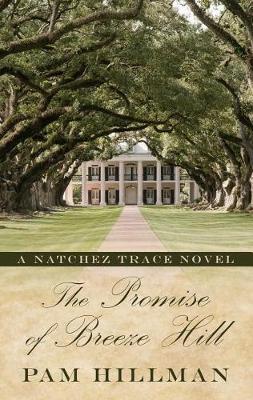 Book cover for The Promise of Breeze Hill