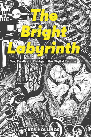 Cover of Bright Labyrinth