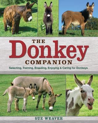 Book cover for Donkey Companion