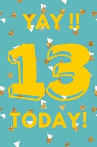 Cover of Yay!! 13 Today!