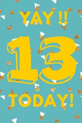 Book cover for Yay!! 13 Today!
