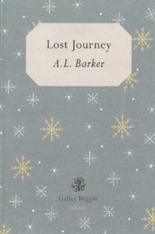 Cover of Lost Journey